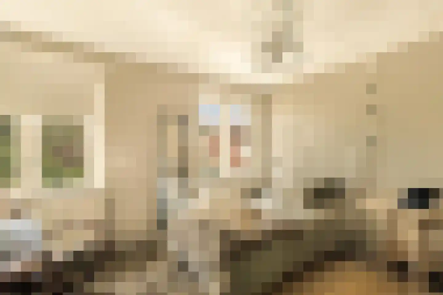 Leeghwaterstraat 1 Hoofddorp thumbnail 26