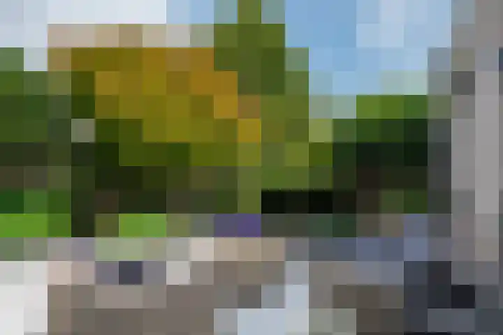 Leeghwaterstraat 10 Ridderkerk thumbnail 14
