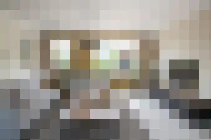 Leeghwaterstraat 10 Ridderkerk thumbnail 5