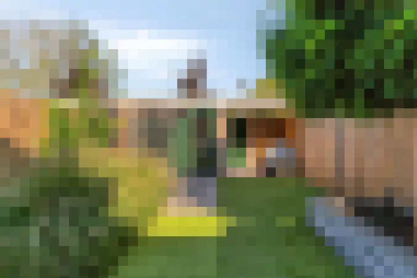 Leeghwaterstraat 105 Schoonhoven thumbnail 18