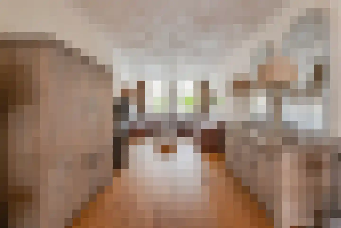 Leeghwaterstraat 12 Hilversum thumbnail 9