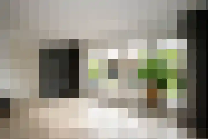 Leeghwaterstraat 127 Schoonhoven thumbnail 14
