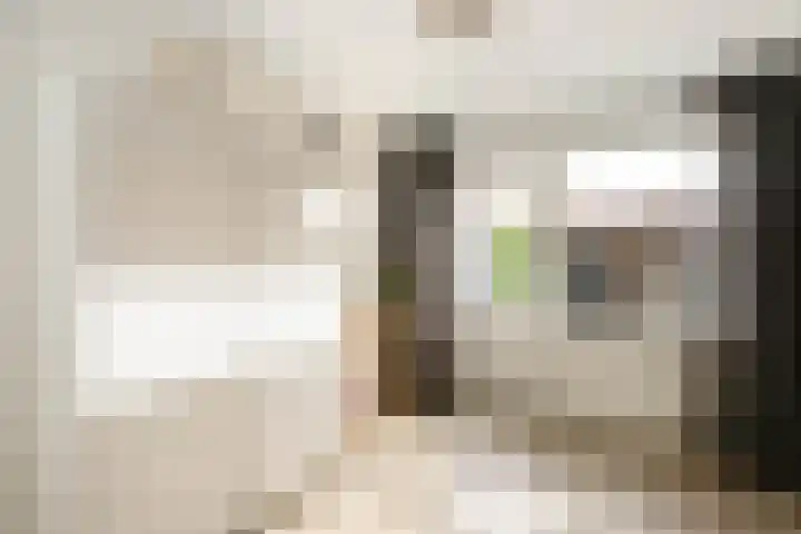 Leeghwaterstraat 127 Schoonhoven thumbnail 22