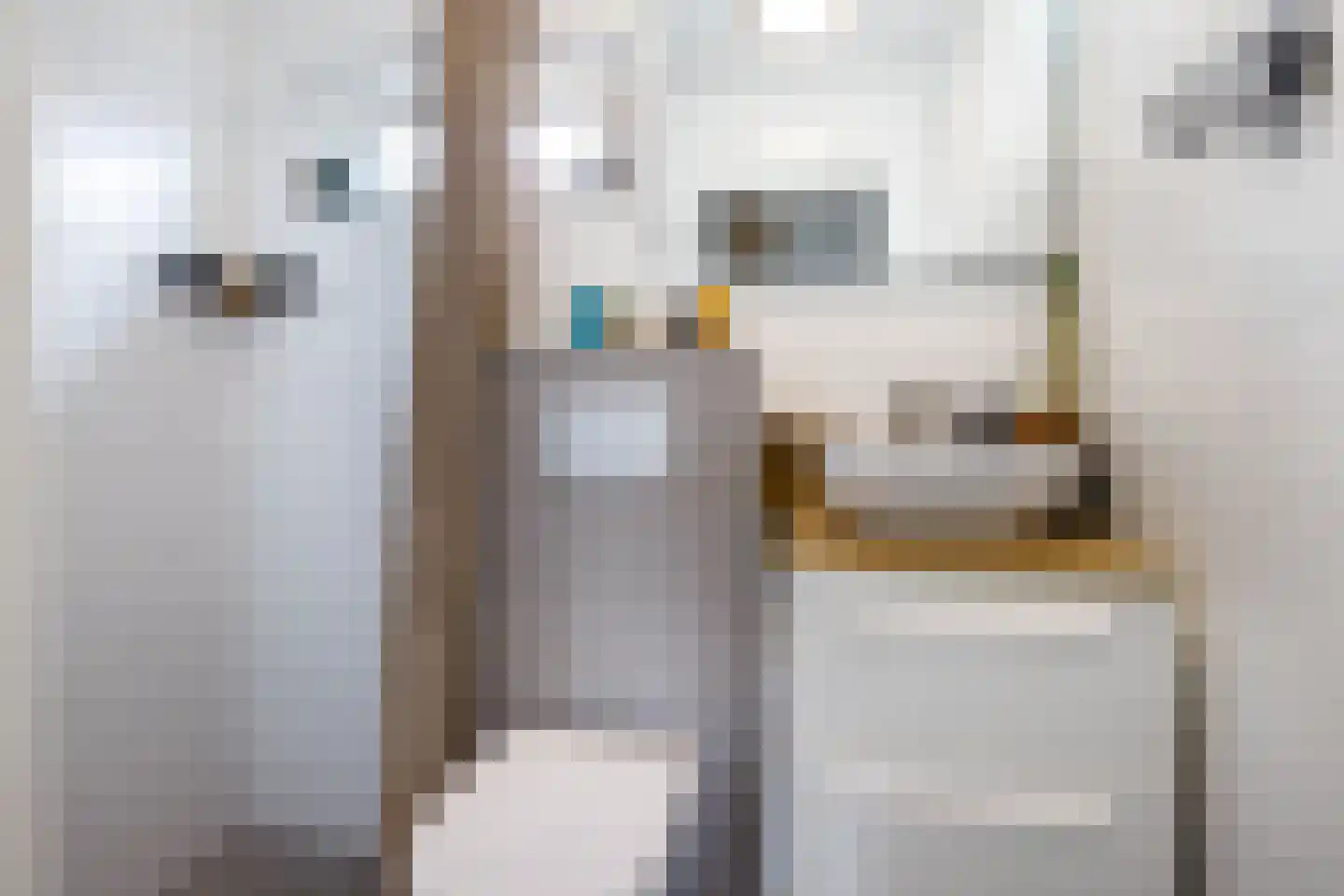 Leeghwaterstraat 15 Nieuwerkerk aan den IJssel thumbnail 24