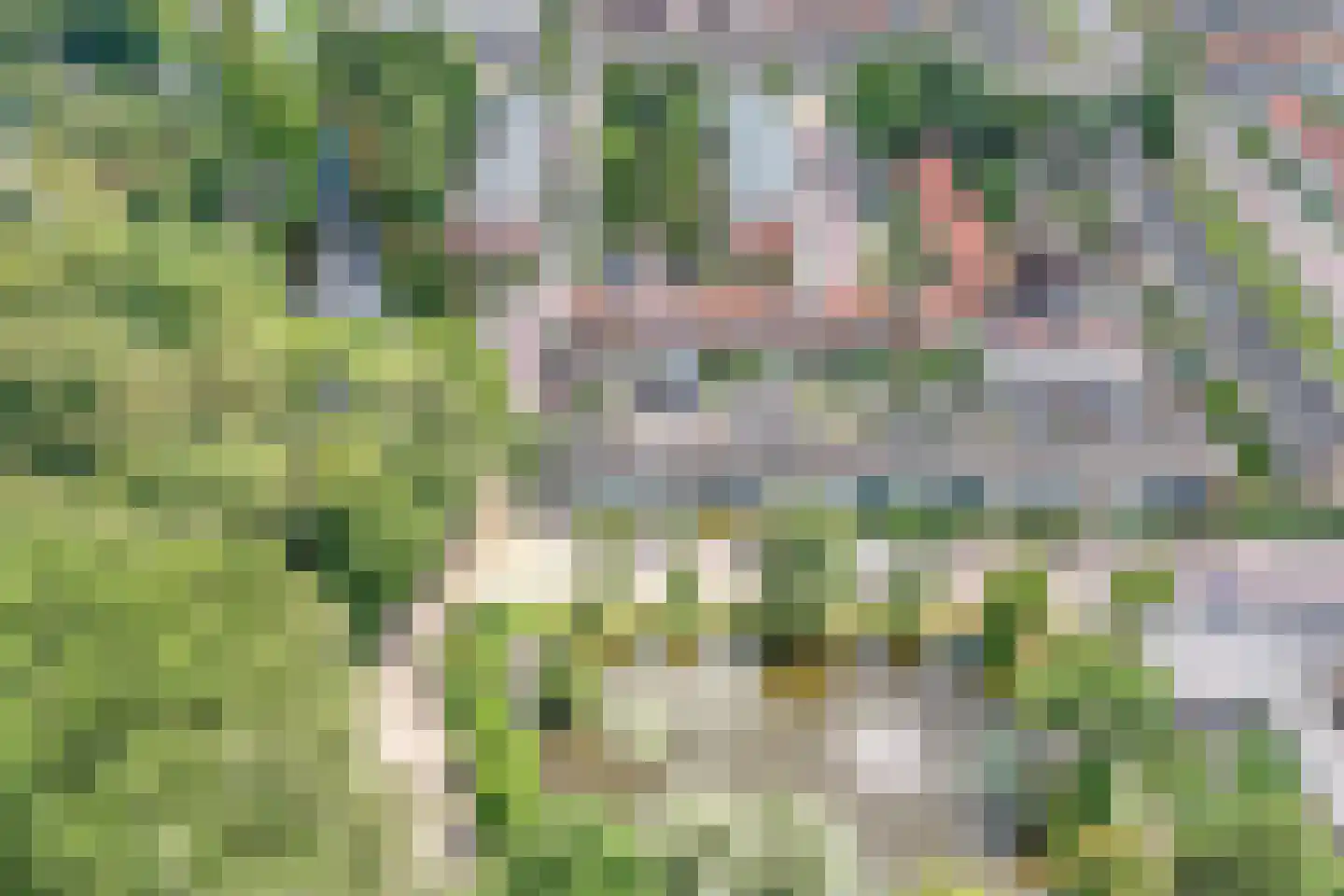 Leeghwaterstraat 15 Nieuwerkerk aan den IJssel thumbnail 5