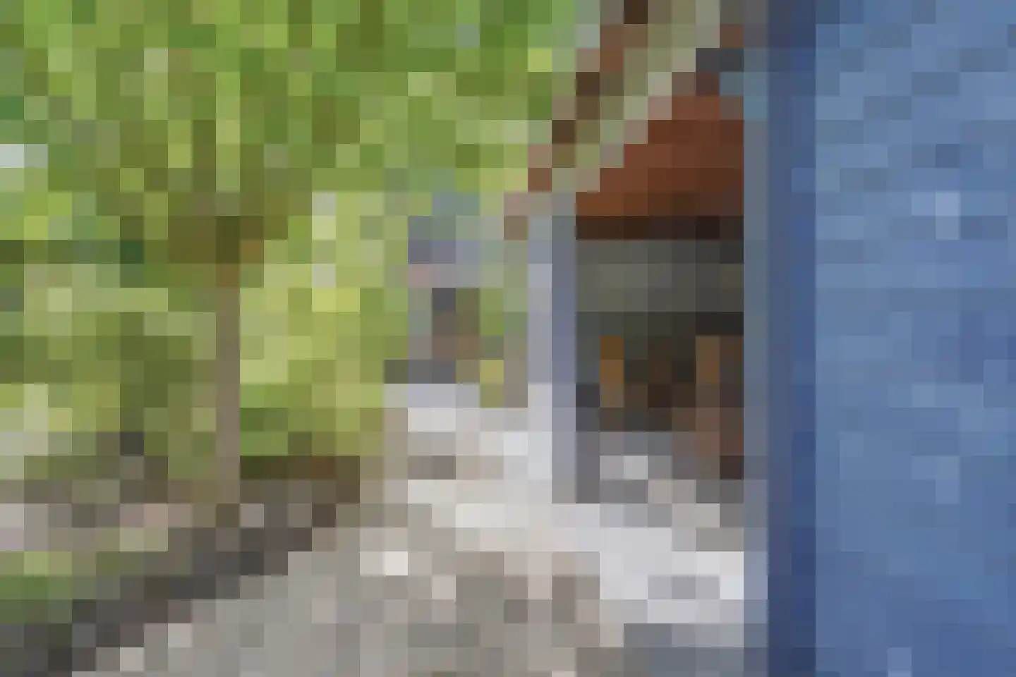 Leeghwaterstraat 18 Vlaardingen thumbnail 30