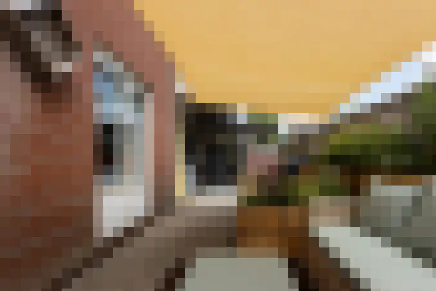 Leeghwaterstraat 2 Ede thumbnail 22