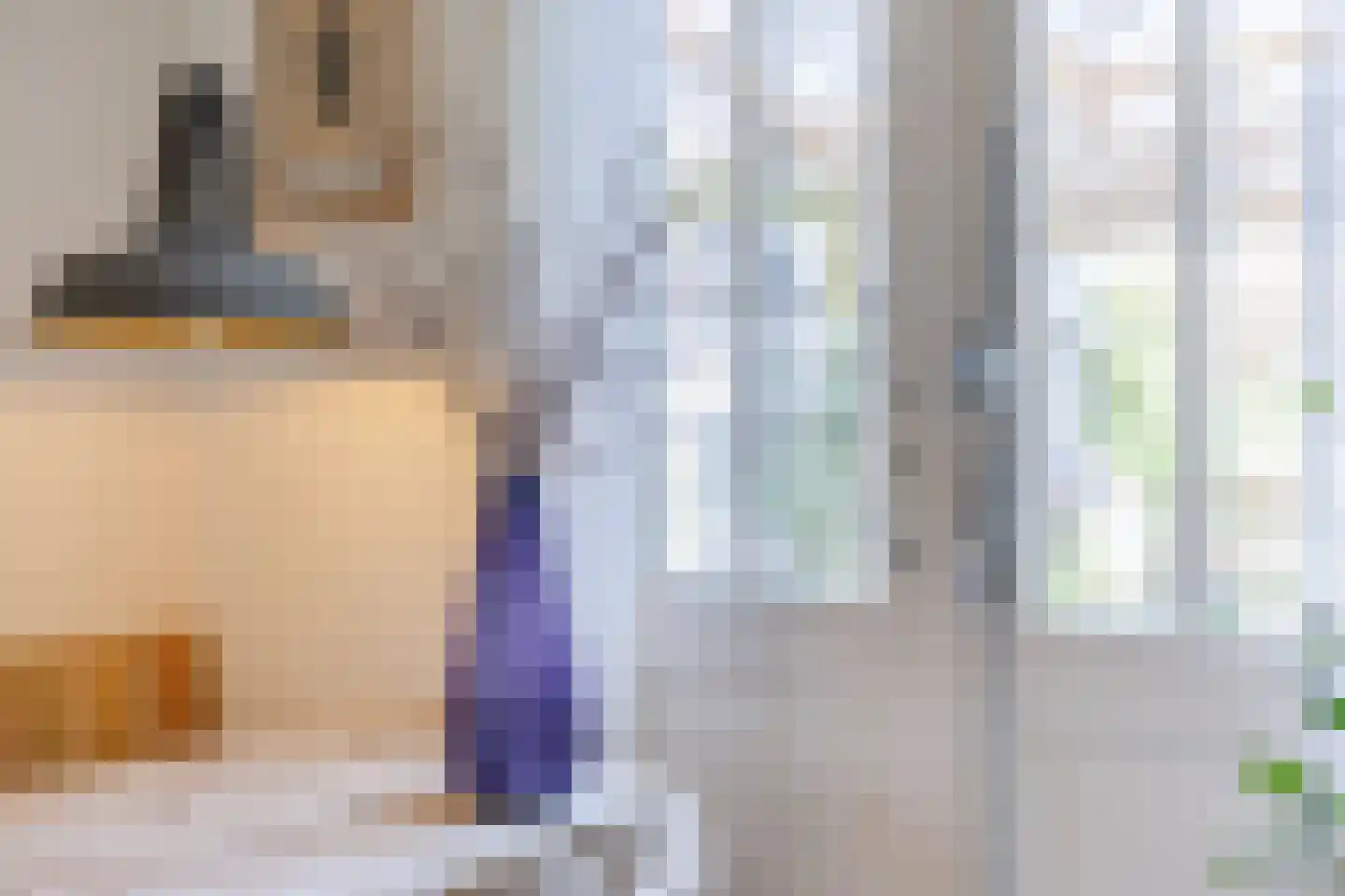 Leeghwaterstraat 2 Middenbeemster thumbnail 10
