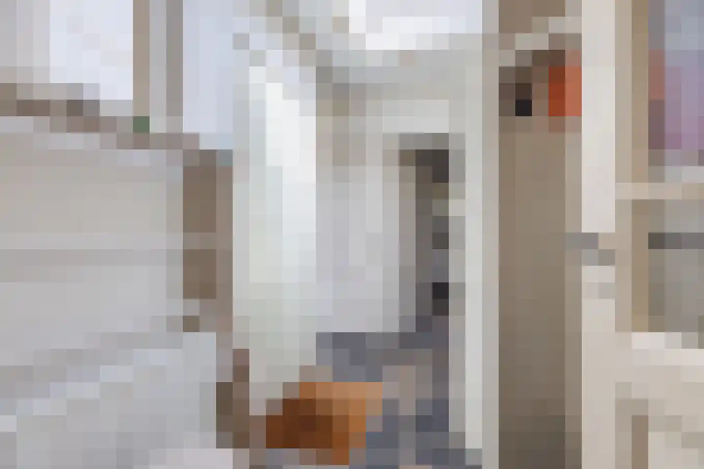 Leeghwaterstraat 2 Middenbeemster thumbnail 16