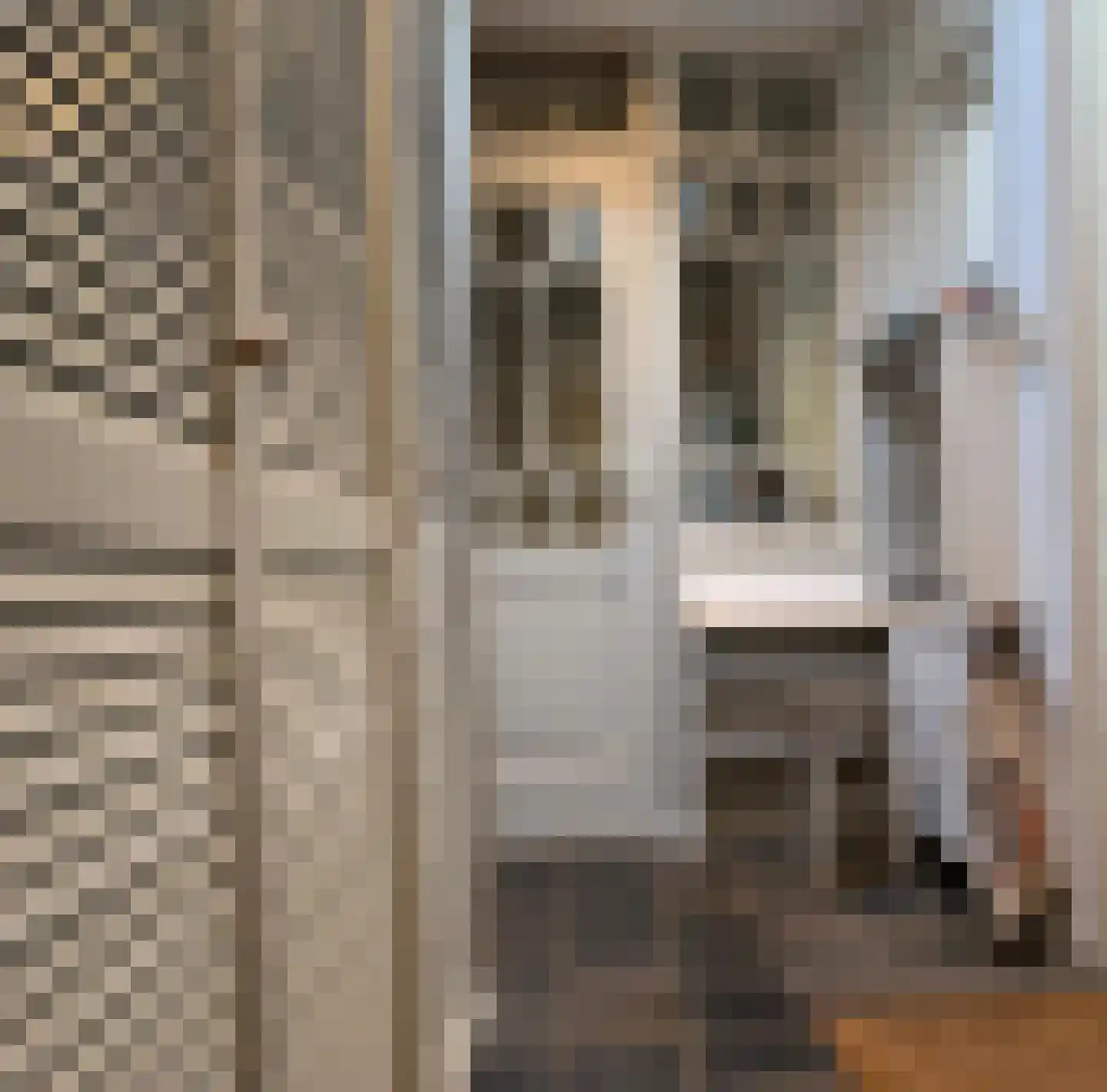 Leeghwaterstraat 2 Middenbeemster thumbnail 18