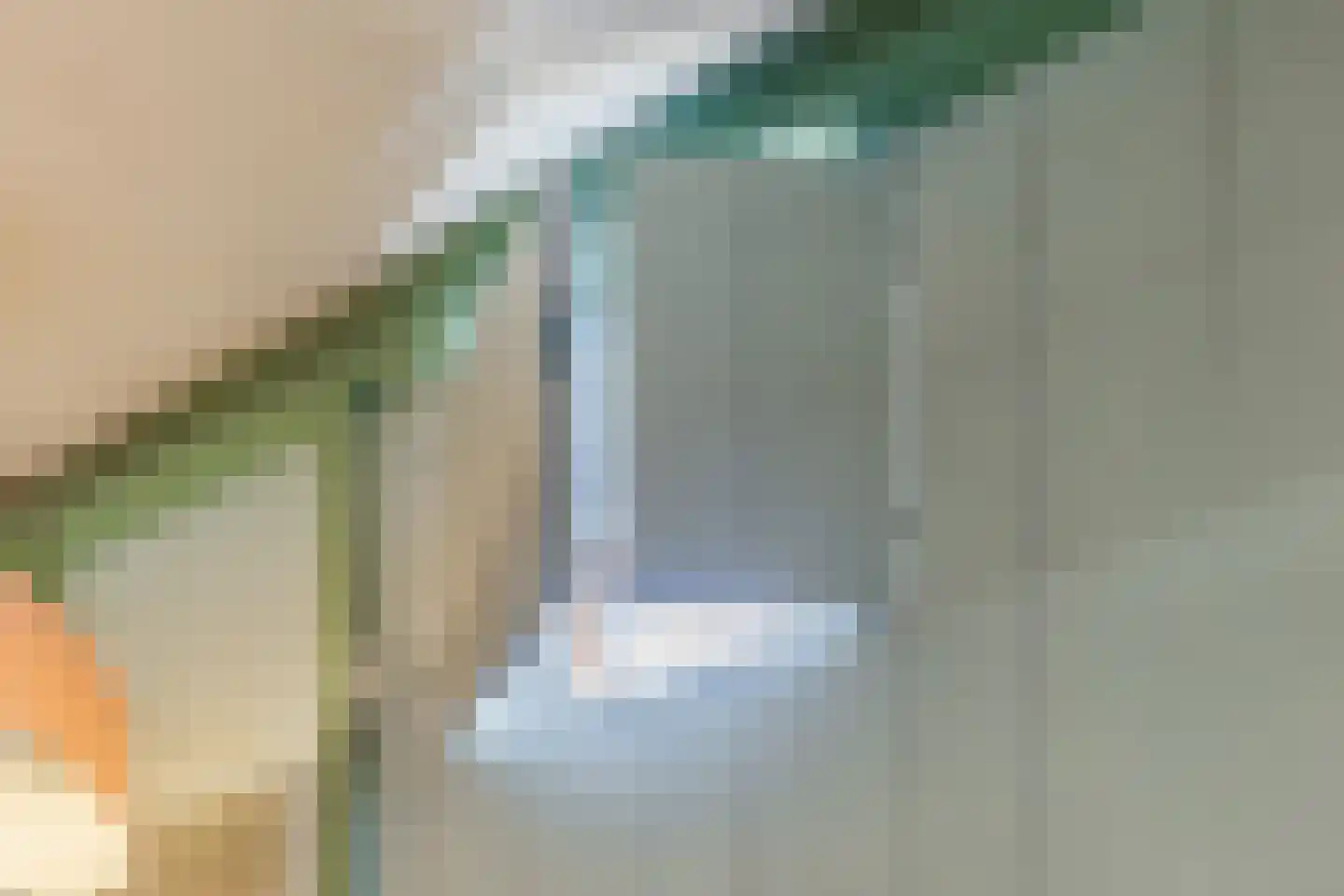 Leeghwaterstraat 2 Middenbeemster thumbnail 29