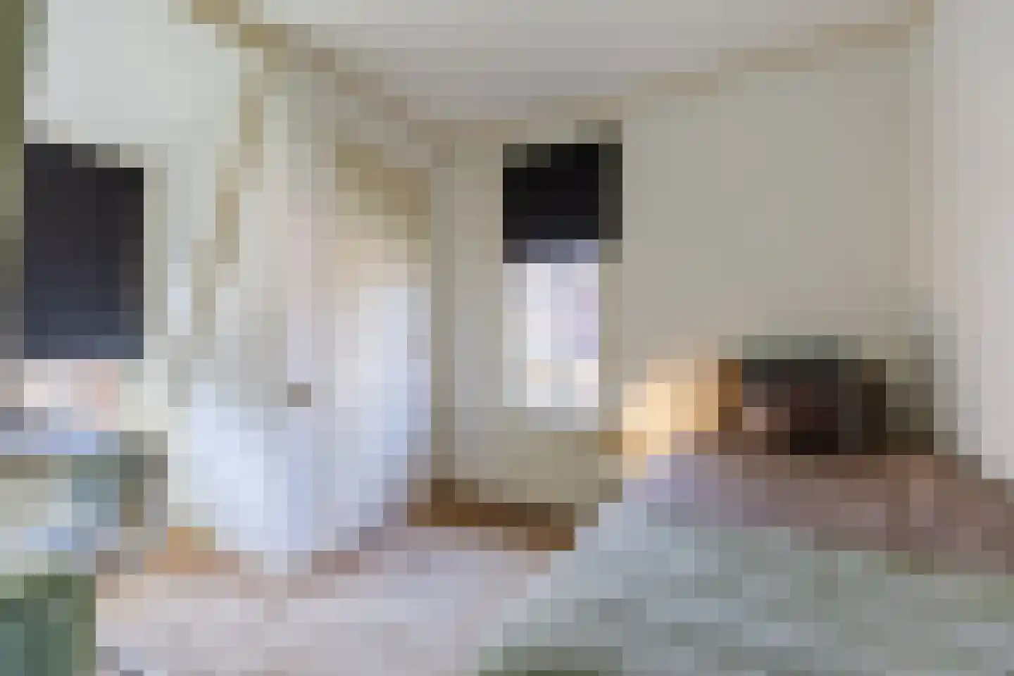 Leeghwaterstraat 2 Middenbeemster thumbnail 31