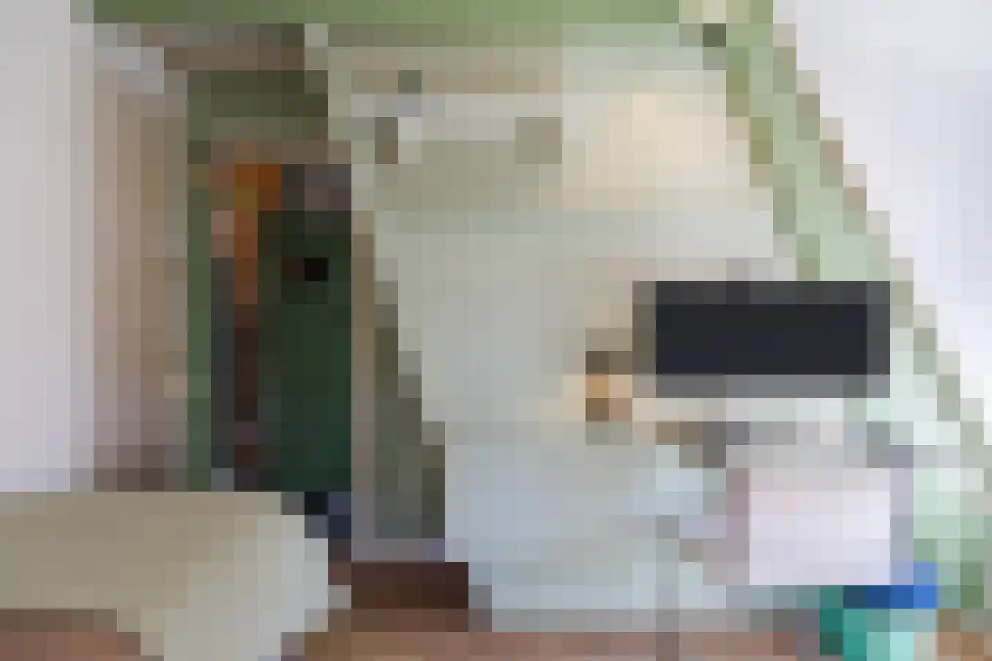 Leeghwaterstraat 2 Middenbeemster thumbnail 34