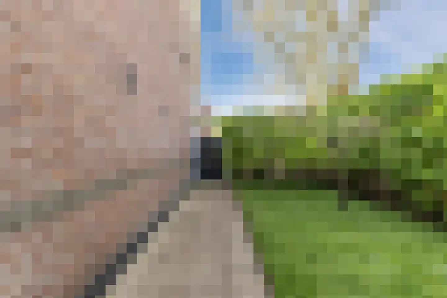 Leeghwaterstraat 2 Middenbeemster thumbnail 41