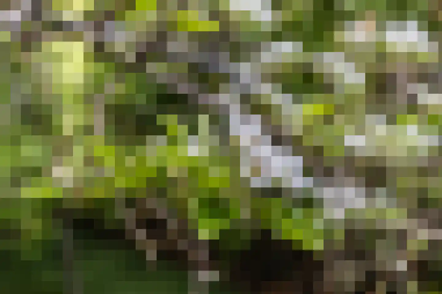 Leeghwaterstraat 2 Middenbeemster thumbnail 43