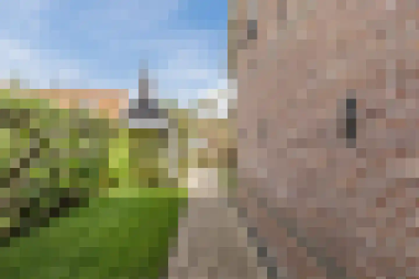 Leeghwaterstraat 2 Middenbeemster thumbnail 44