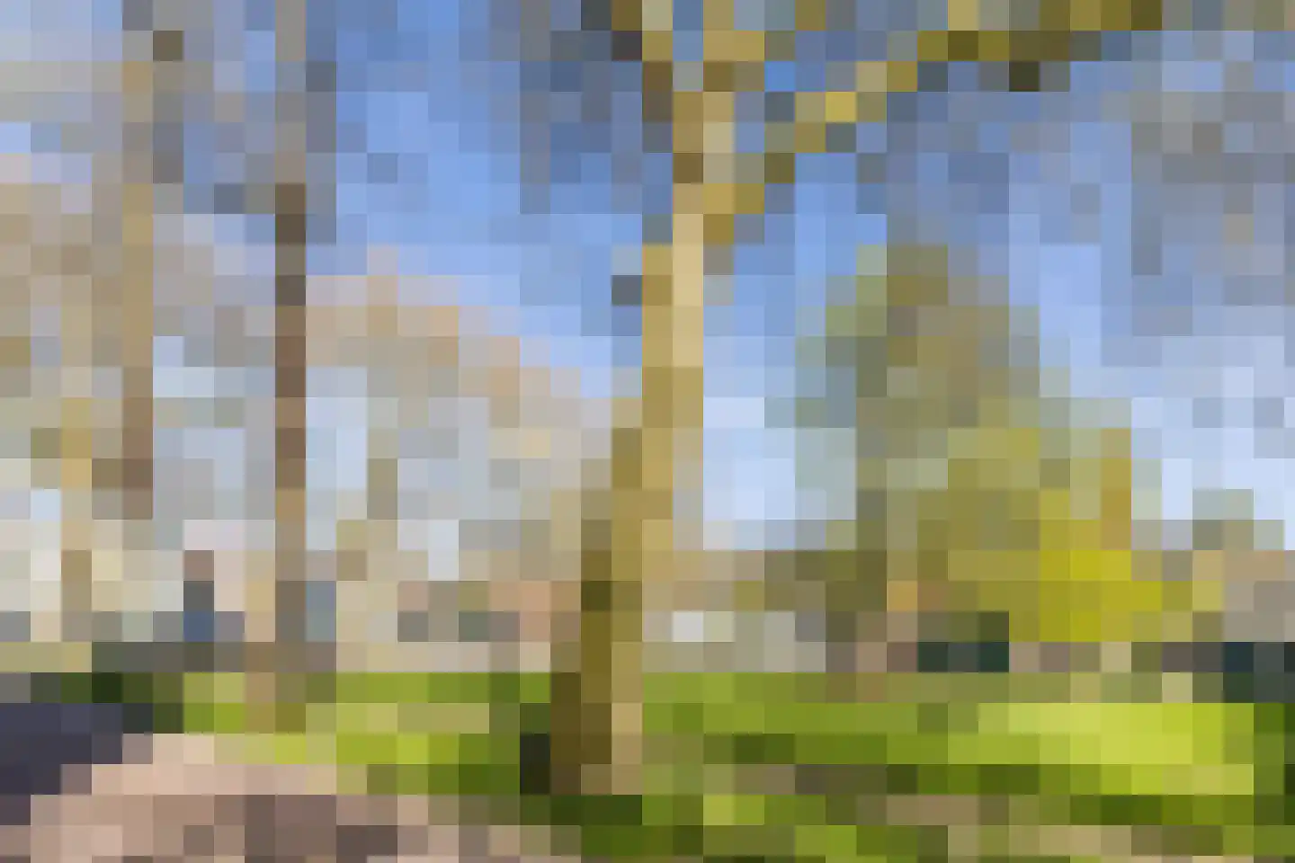 Leeghwaterstraat 2 Middenbeemster thumbnail 51