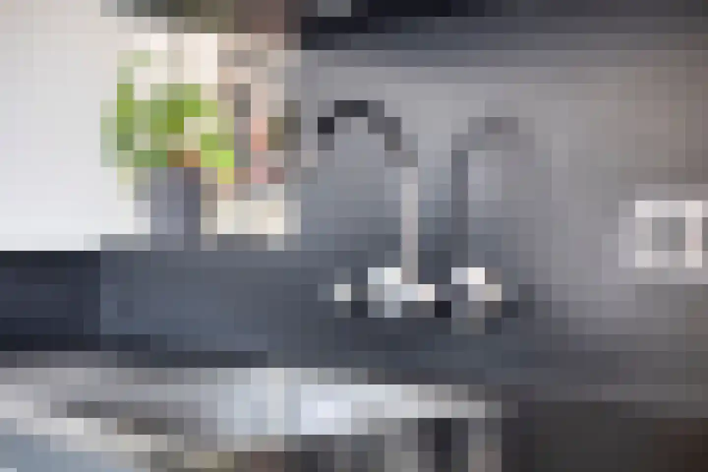 Leeghwaterstraat 20 Hulst thumbnail 11