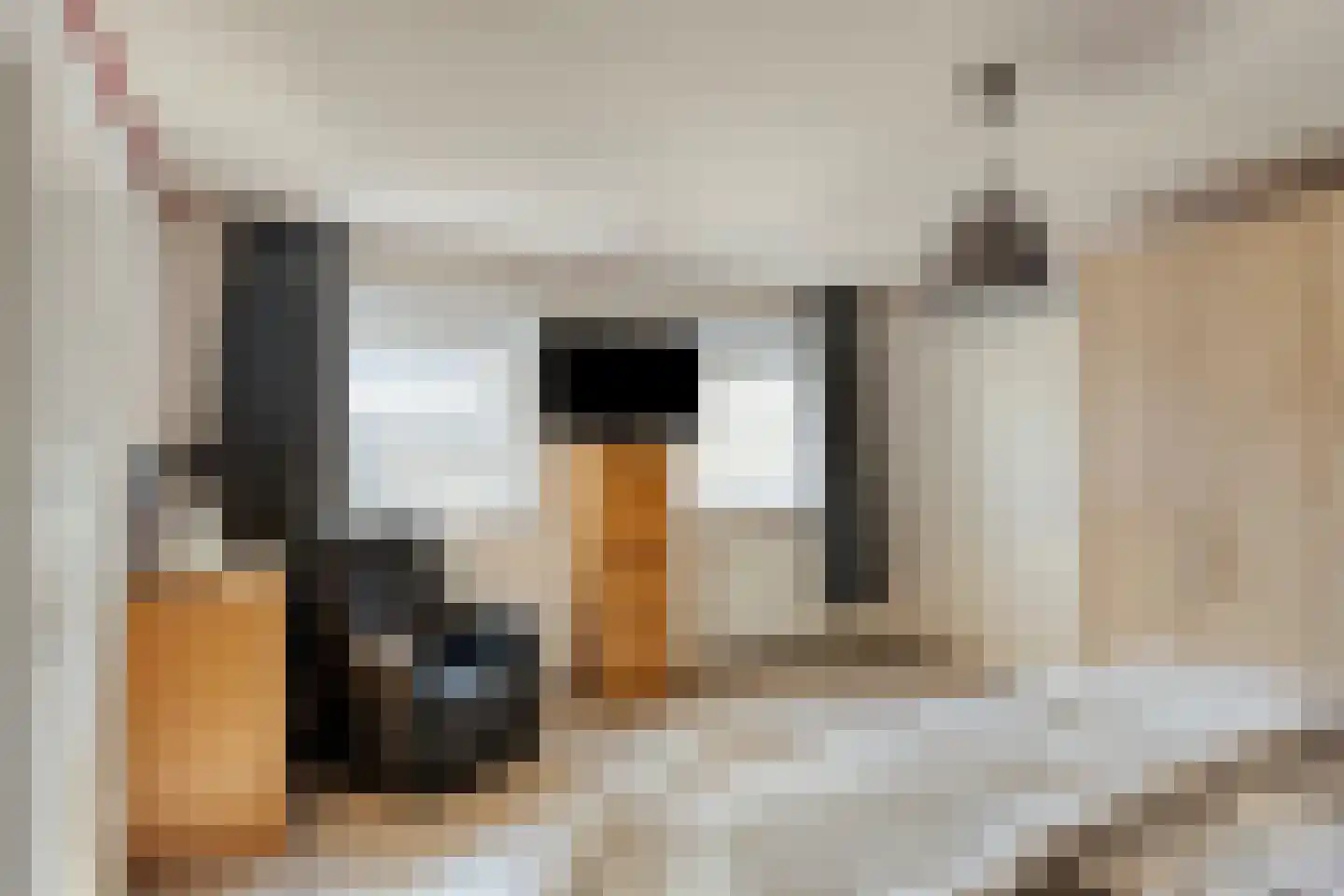 Leeghwaterstraat 20 Hulst thumbnail 18