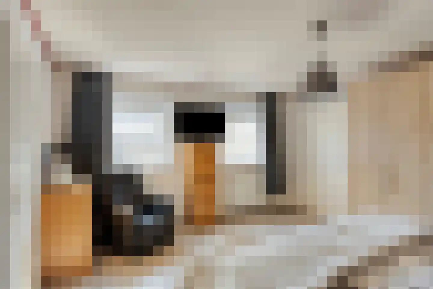 Leeghwaterstraat 20 Hulst thumbnail 18
