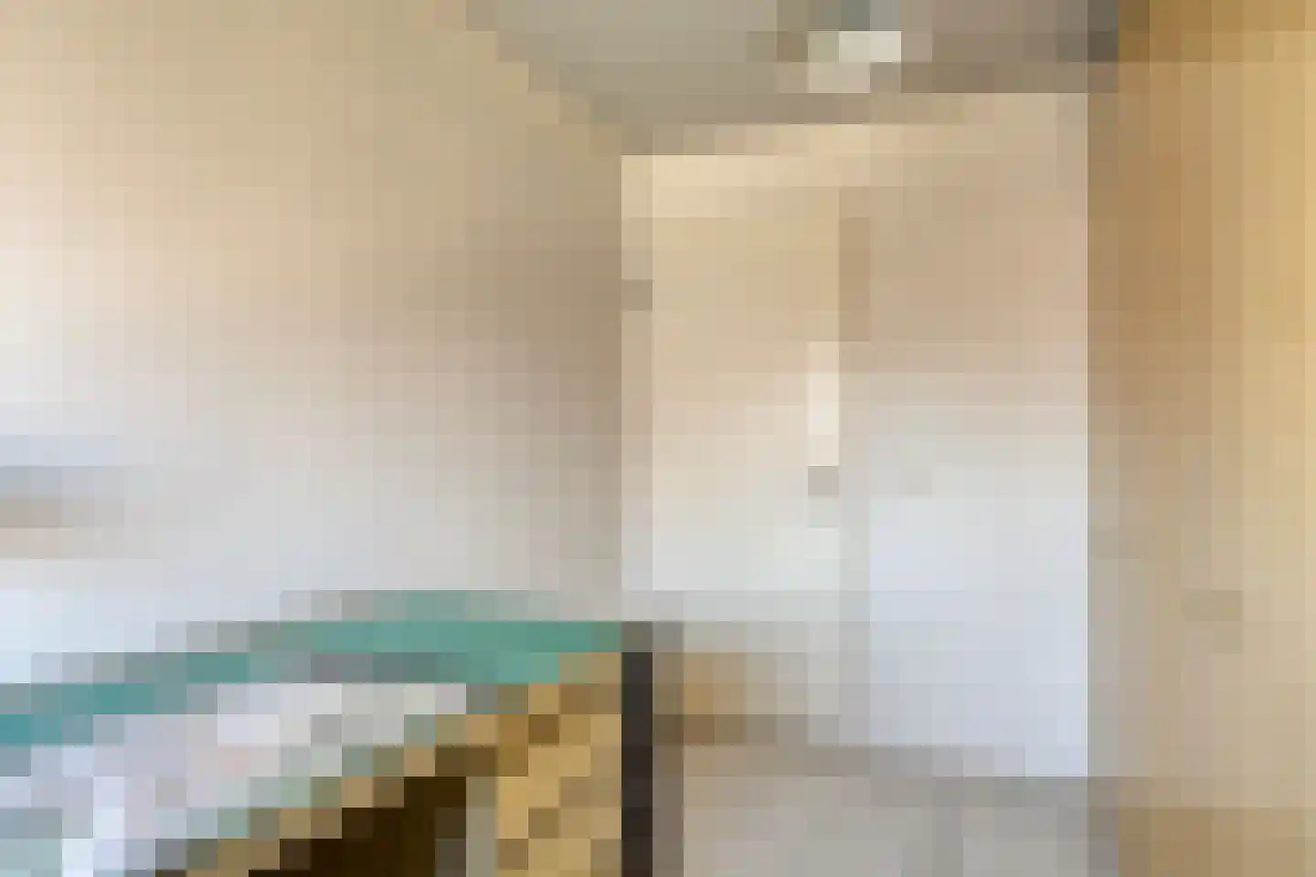 Leeghwaterstraat 20 Hulst thumbnail 25
