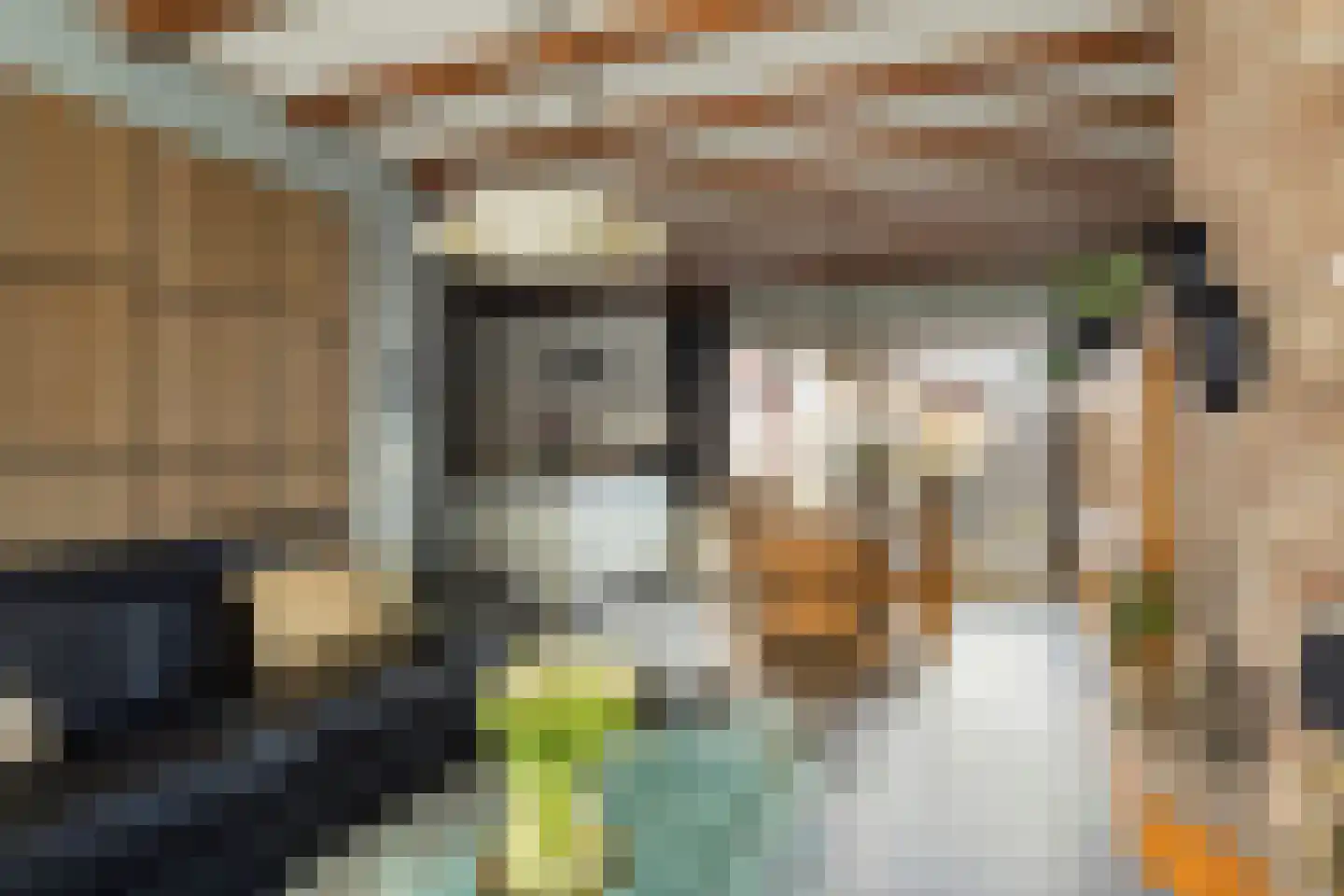 Leeghwaterstraat 20 Hulst thumbnail 4