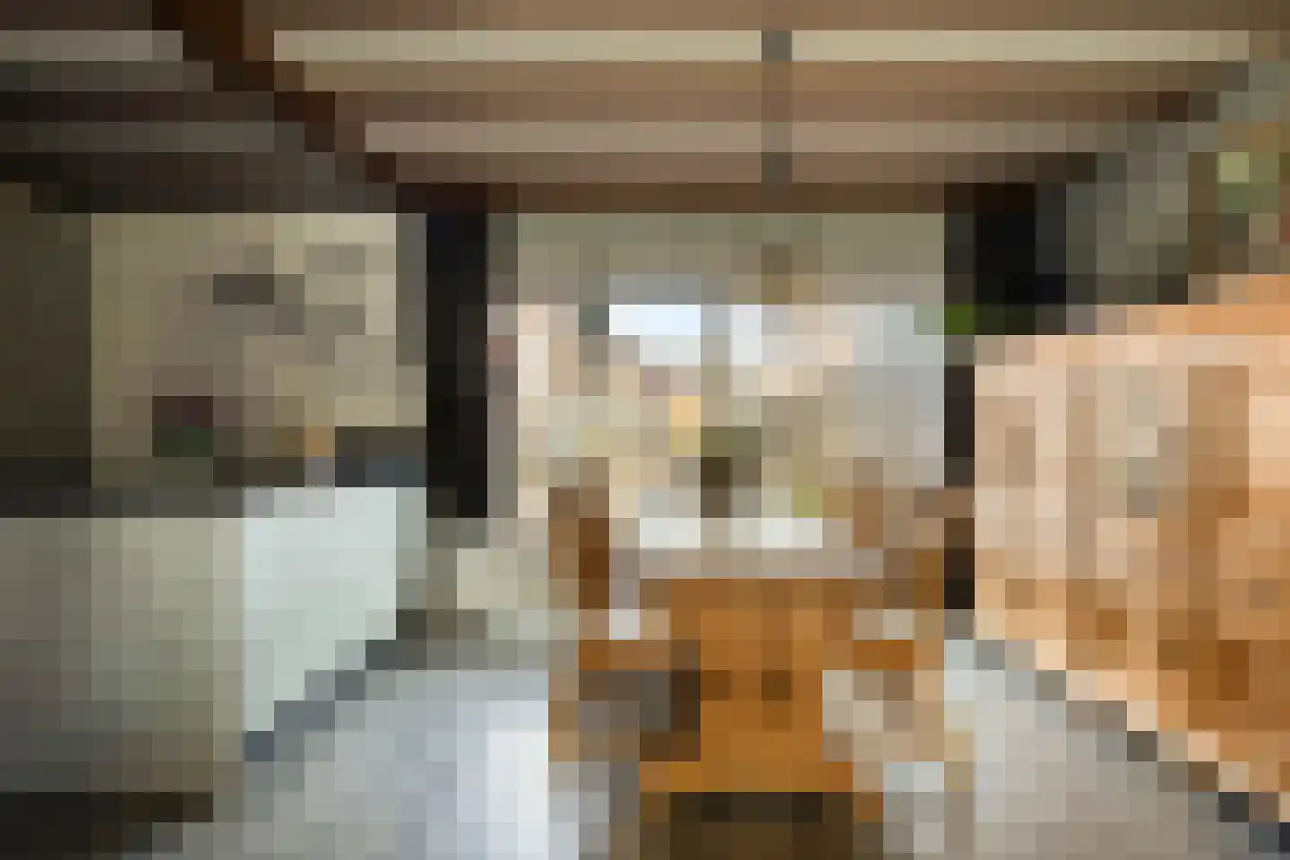 Leeghwaterstraat 20 Hulst thumbnail 5