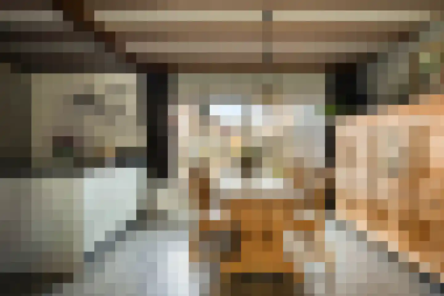 Leeghwaterstraat 20 Hulst thumbnail 6