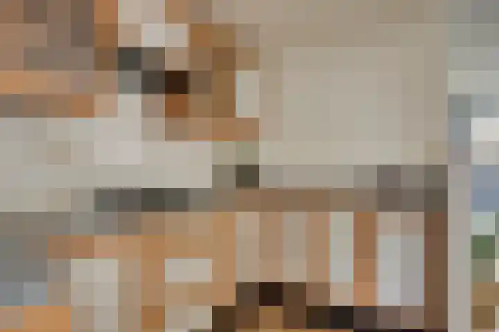 Leeghwaterstraat 220 Eindhoven foto 3