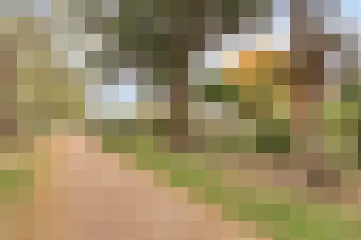 Leeghwaterstraat 240 Eindhoven thumbnail 33