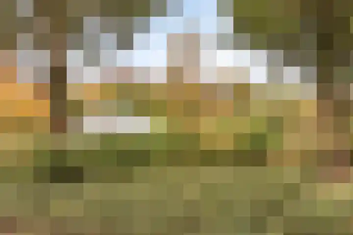 Leeghwaterstraat 240 Eindhoven thumbnail 34
