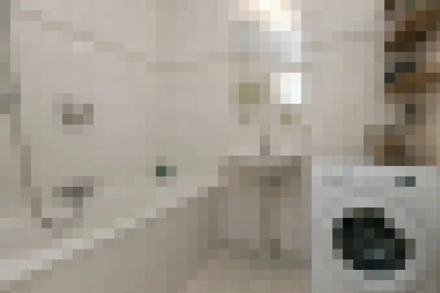 Leeghwaterstraat 246 Eindhoven thumbnail 5