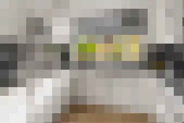 Leeghwaterstraat 25 Kudelstaart thumbnail 12