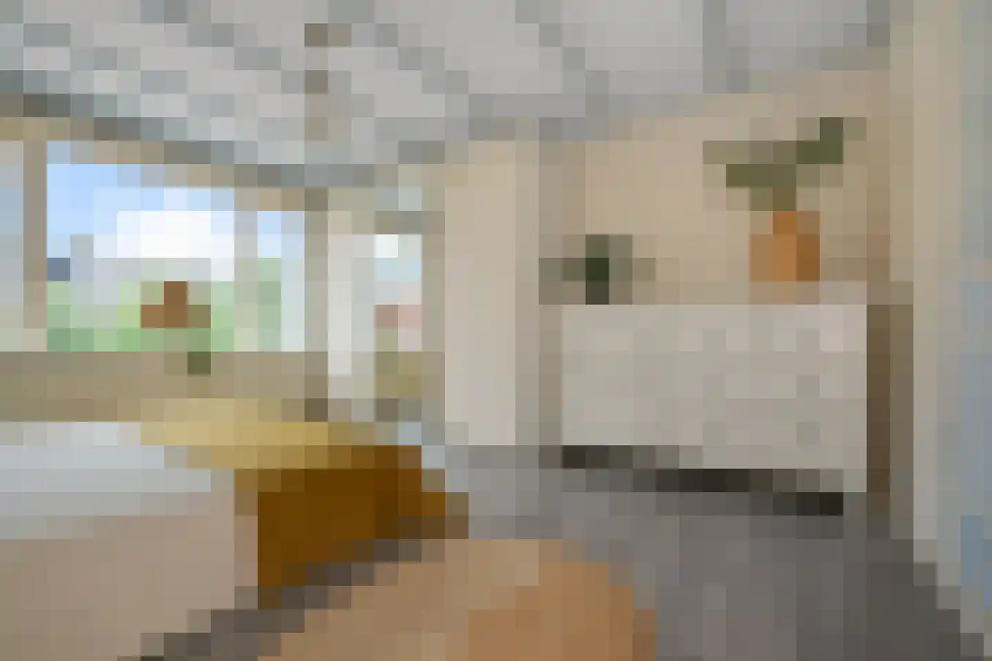 Leeghwaterstraat 3 Koog aan de Zaan thumbnail 10