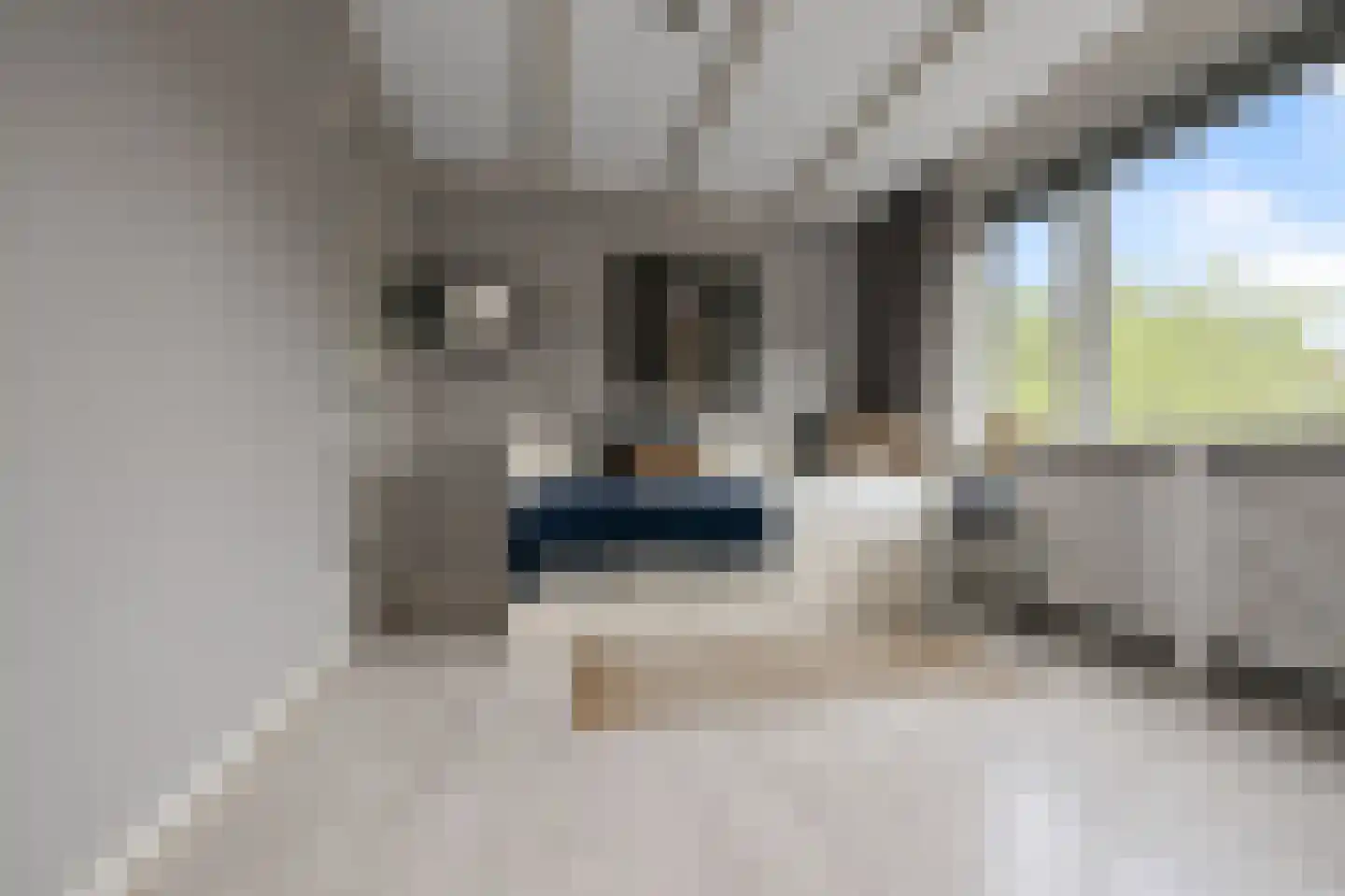 Leeghwaterstraat 3 Koog aan de Zaan thumbnail 11