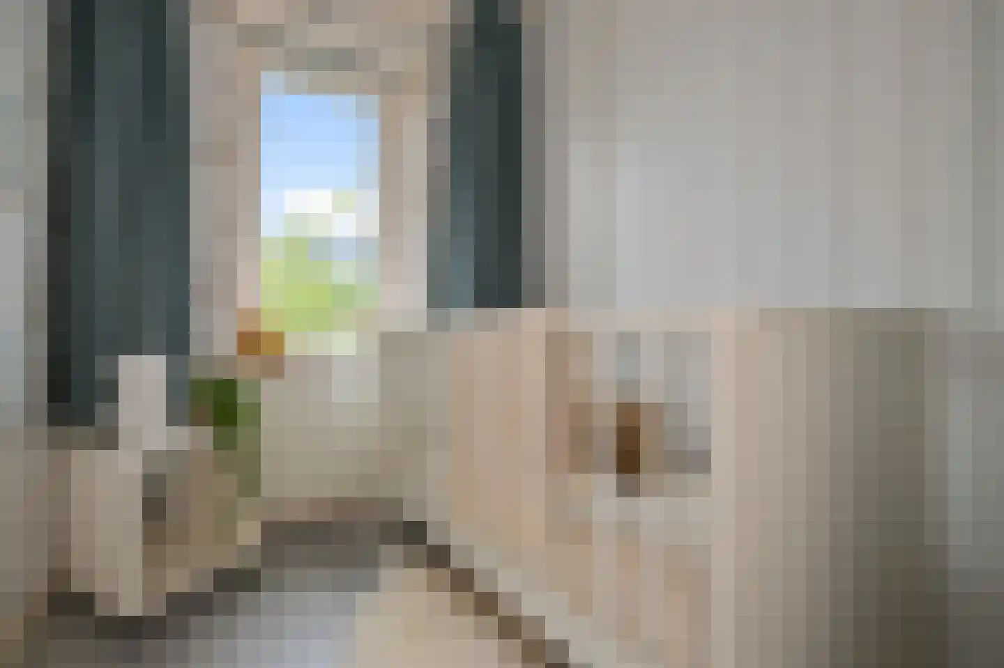 Leeghwaterstraat 3 Koog aan de Zaan thumbnail 13