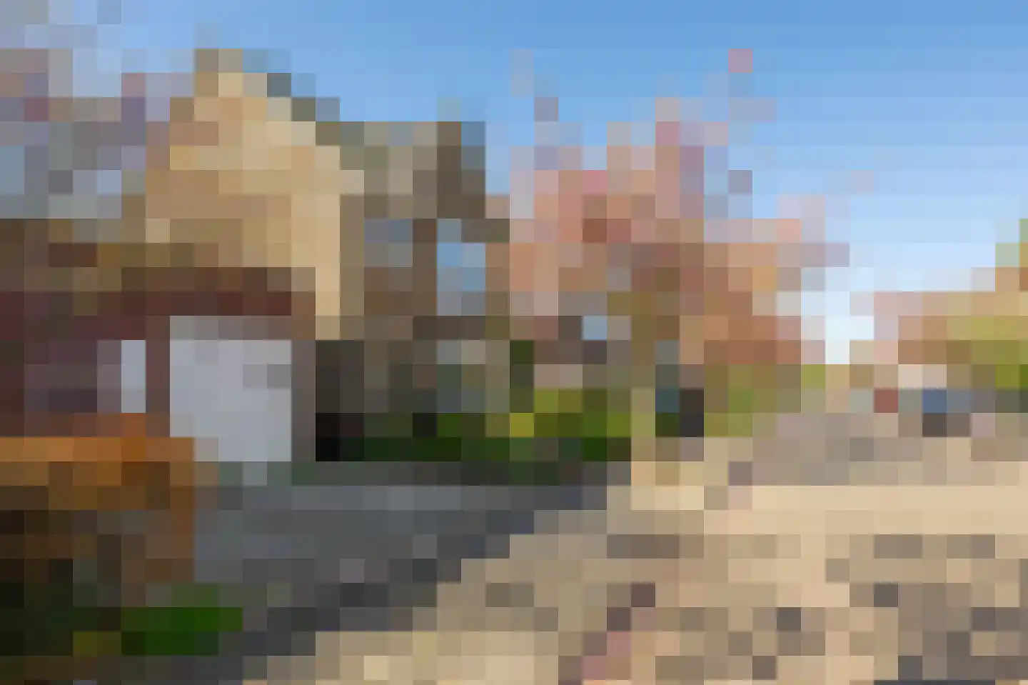 Leeghwaterstraat 3 Koog aan de Zaan thumbnail 23
