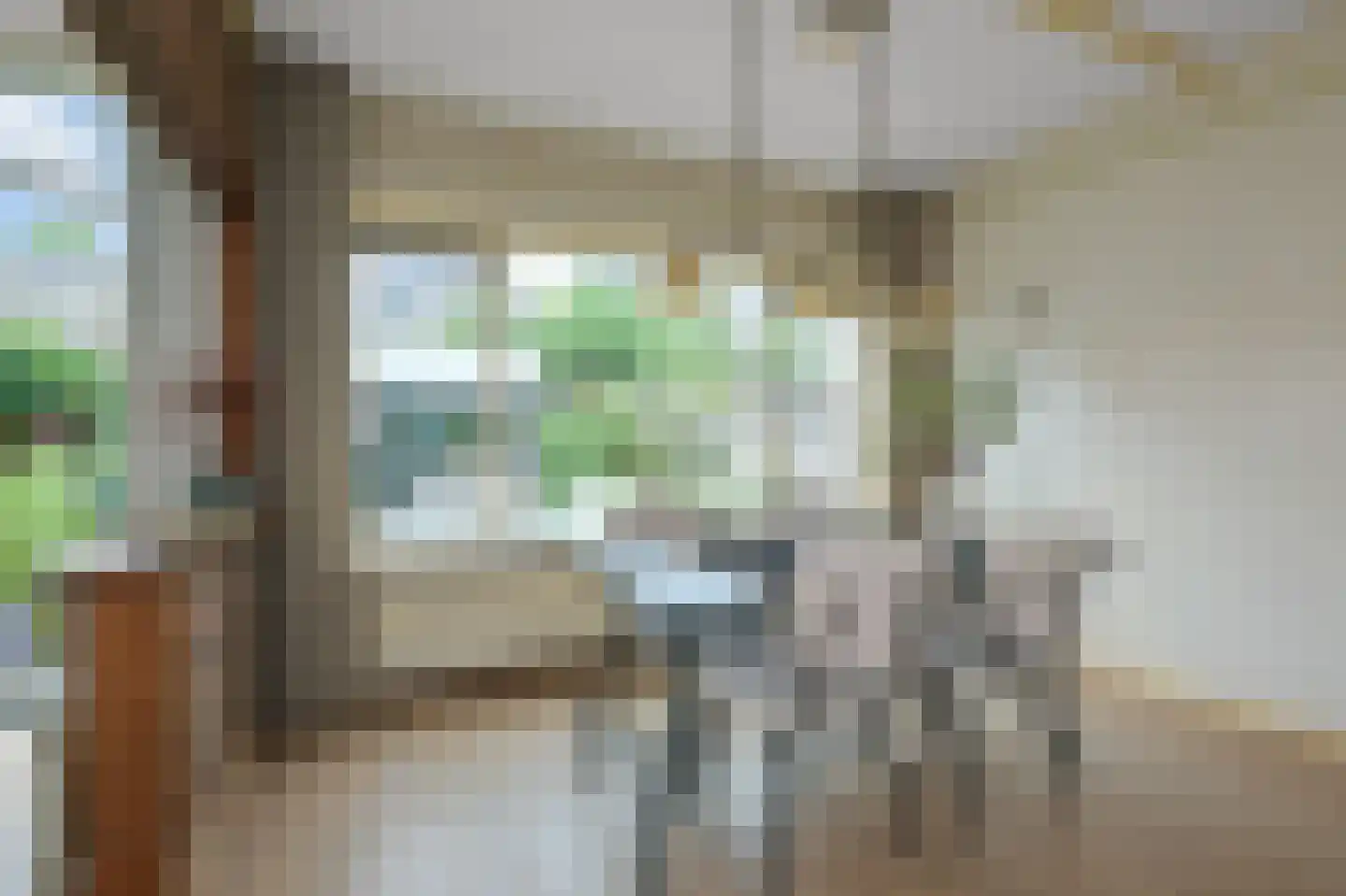 Leeghwaterstraat 3 Koog aan de Zaan thumbnail 6