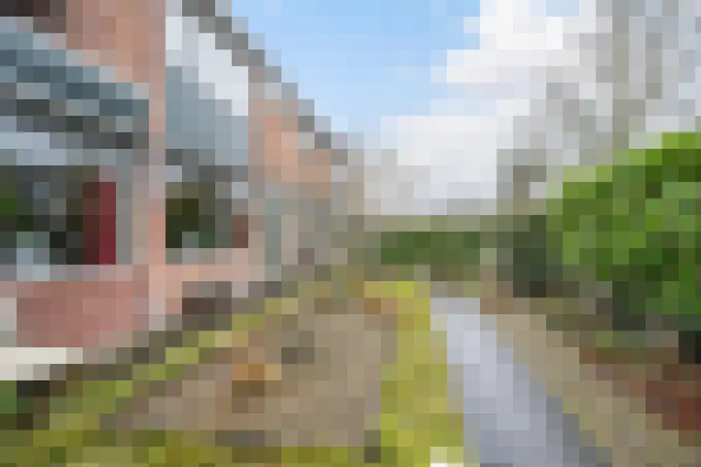 Leeghwaterstraat 38 Vlaardingen thumbnail 12