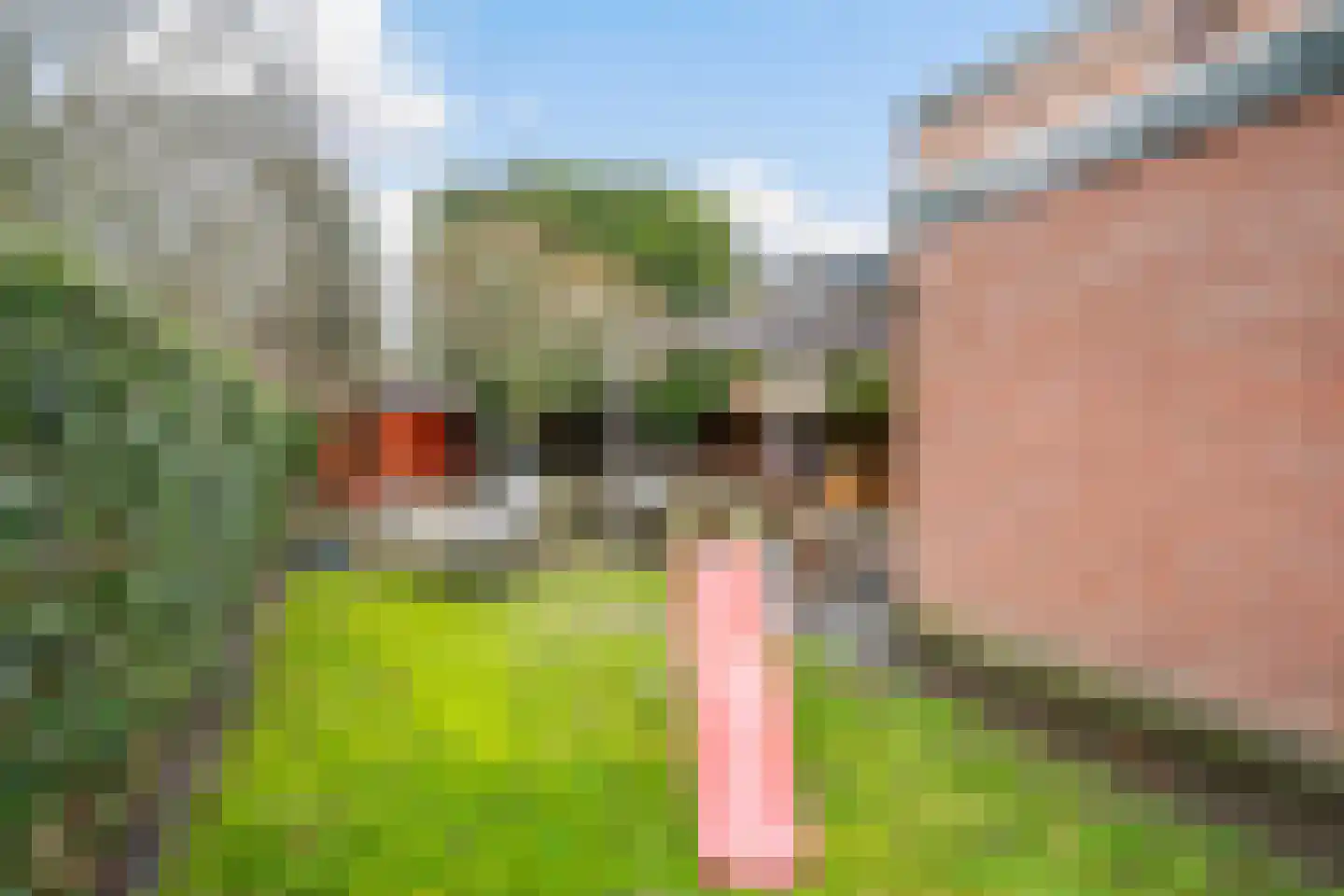 Leeghwaterstraat 38 Vlaardingen thumbnail 28