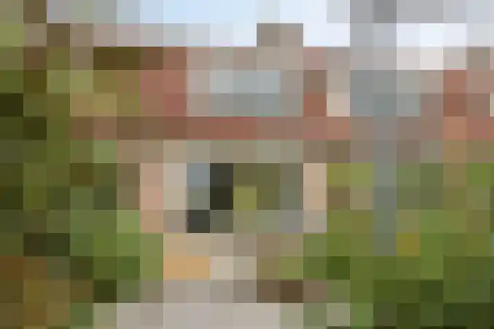 Leeghwaterstraat 5 Schoonhoven thumbnail 26
