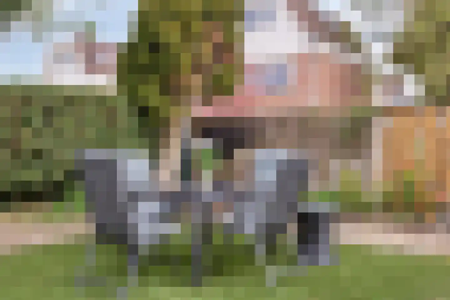 Leeghwaterstraat 6 Wijdewormer thumbnail 32