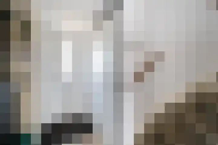 Leeghwaterstraat 61 Schoonhoven thumbnail 6