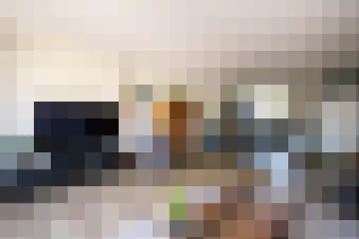 Leeghwaterstraat 61 Schoonhoven thumbnail 8