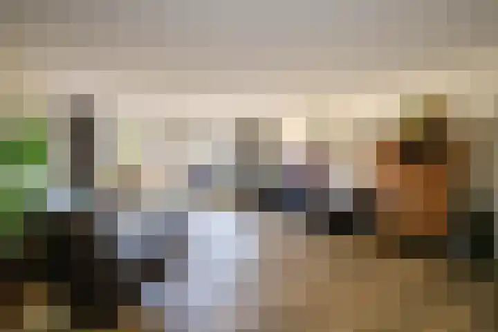 Leeghwaterstraat 61 Schoonhoven thumbnail 9