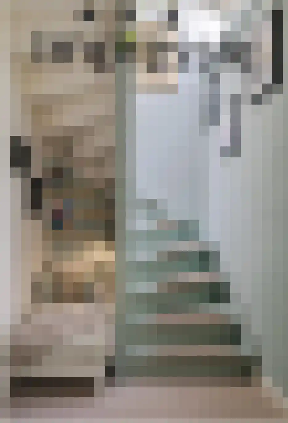 Leeghwaterstraat 7 De Rijp thumbnail 17