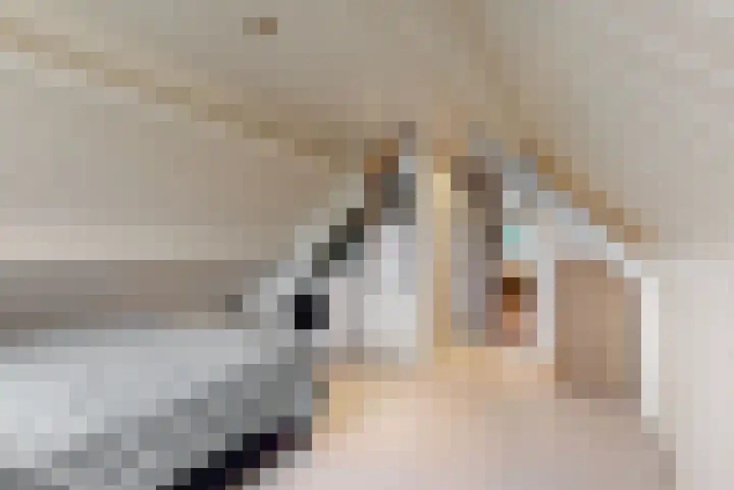 Leeghwaterstraat 74 Kudelstaart thumbnail 17
