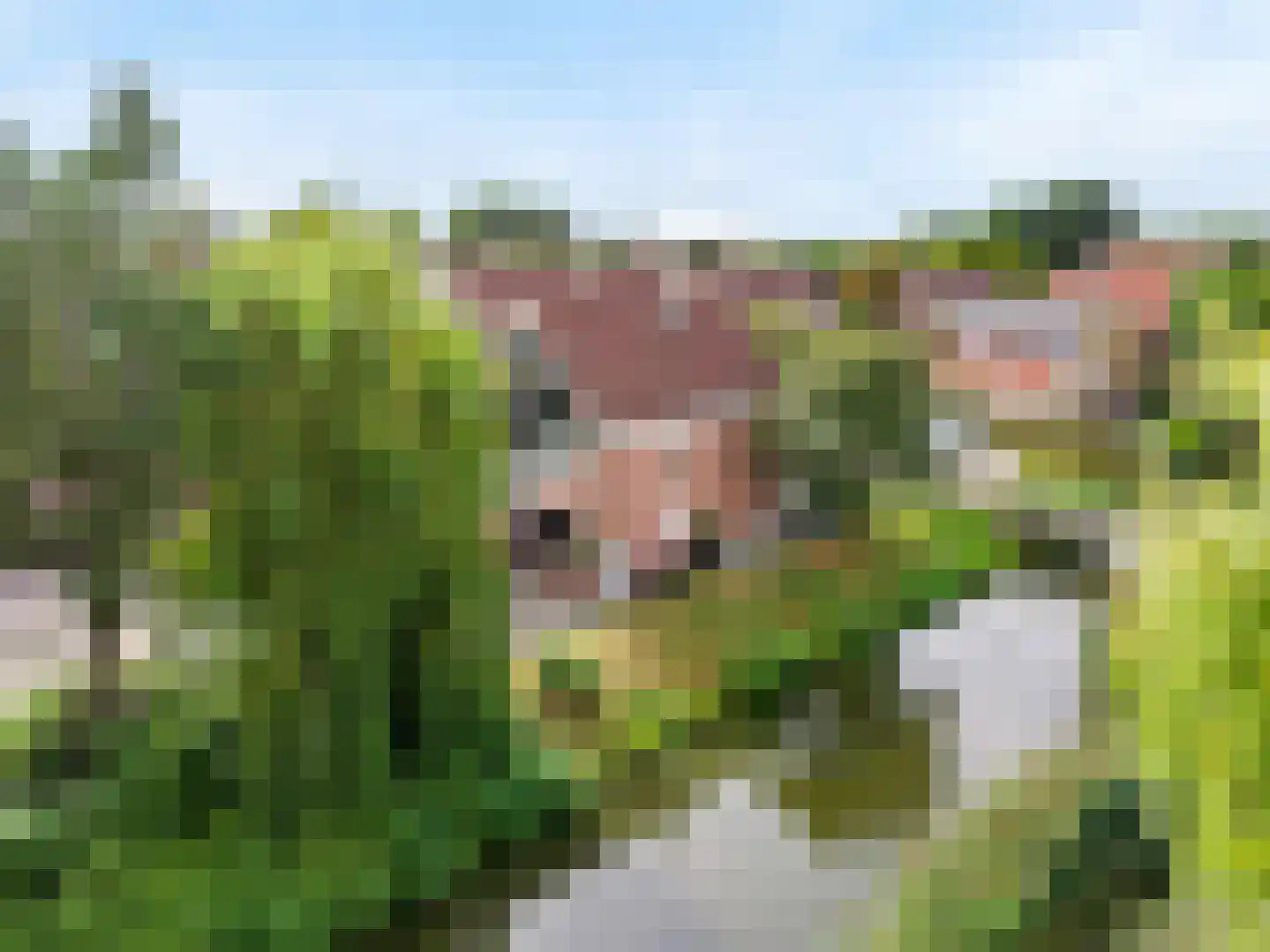 Leeghwaterstraat 74 Kudelstaart thumbnail 26