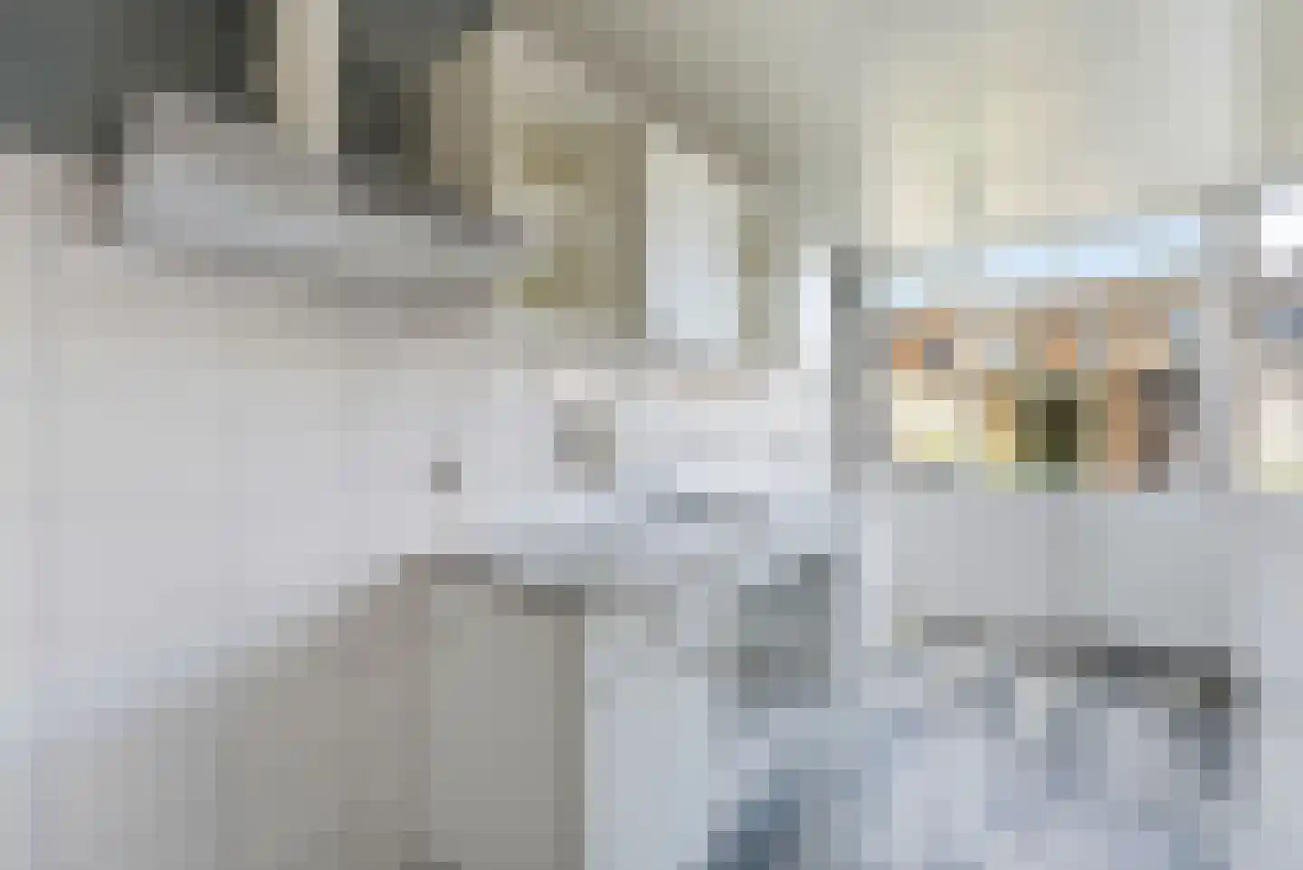 Leeghwaterstraat 84 Vlissingen thumbnail 6