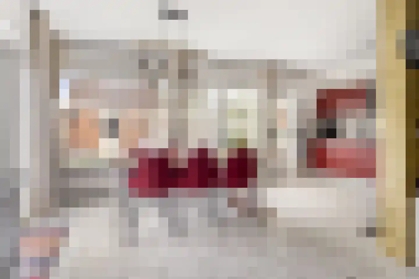 Leeghwaterstraat 96 Hulst thumbnail 10